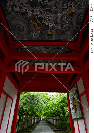 從高山寺 從高山寺 77223080