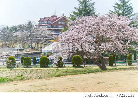 林多湖家庭牧場 林多湖家庭牧場 77223135