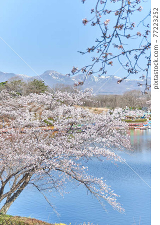 櫪木縣林多湖家庭牧場 櫪木縣林多湖家庭牧場 77223252