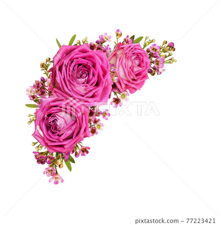 Pink roses and chamelaucium flowers in a corner floral arrangement isolated on white 77223421
