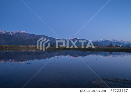 Dawn of Matsukawa Village [Paddy Fields and Northern Alps] 77223587