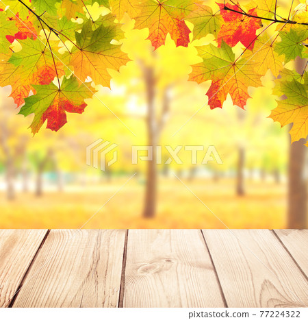 Vintage wooden table top and maple leaves on blurred autumn backdrop 77224322