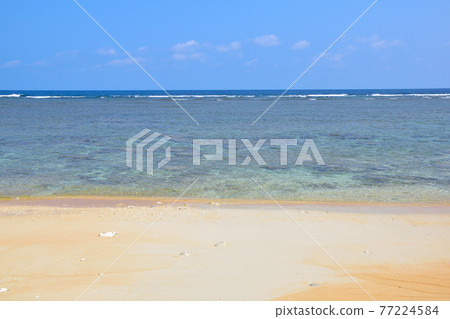 Hatoma Island Tateharahama 77224584