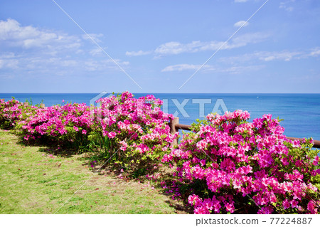 Furusai Park茨城縣日立市 77224887