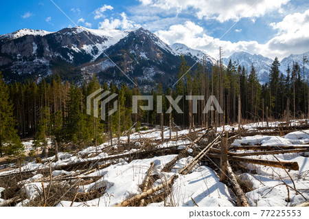 Snow covered Tatra ranges in March Snow covered Tatra ranges in March 77225553