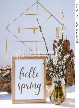 HELLO SPRING lettering Mock up interior Picture frame with Willow branch in glass vase. Brunch of the blossoming pussywillow on early spring. Easter spring still life HELLO SPRING lettering Mock up interior Picture frame with Willow branch in glass vase. Brunch of the blossoming pussywillow on early spring. Easter spring still life 77226741