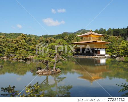 更換茅草屋頂後的春天金閣寺 更換茅草屋頂後的春天金閣寺 77226782