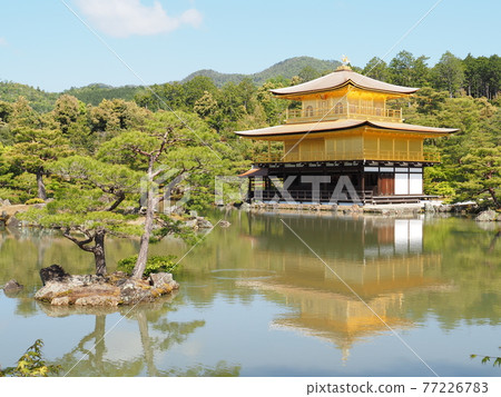 更換茅草屋頂後的春天金閣寺 更換茅草屋頂後的春天金閣寺 77226783