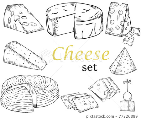 Sketch of different types of cheese. Vector. Hand drawing. 77226889