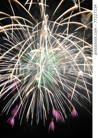 ≪Kameoka Peace Festival Hozugawa Fireworks Festival in Kyoto Prefecture≫ Fireworks image in Kameoka City, Kyoto Prefecture 77227134