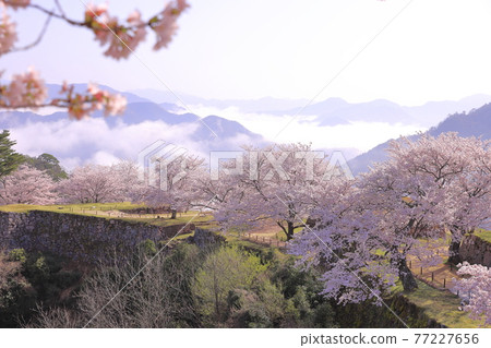 Takeda Castle Ruins Takeda Castle Ruins 77227656