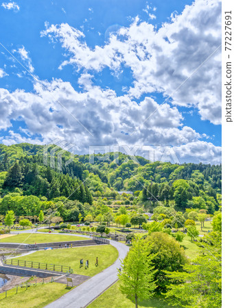 Spring Miyagase dam lake, Kanagawa prefecture Spring Miyagase dam lake, Kanagawa prefecture 77227691