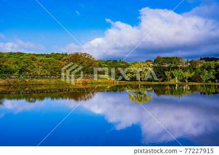 (Shizuoka Prefecture) Mt. Fuji reflected in the rice terraces 77227915