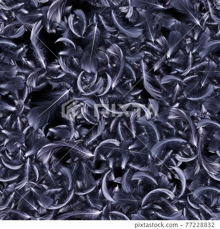 Feather abstract seamless pattern. Nature bird feather texture closeup falling on black background. Elegant expressive artistic image fragility of nature. 77228832