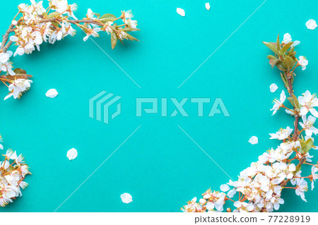 May flowers. Spring blossom and April floral nature on blue background. Beautiful scene with blooming tree. Easter Sunny day. Orchard abstract blurred background. Springtime. May flowers. Spring blossom and April floral nature on blue background. Beautiful scene with blooming tree. Easter Sunny day. Orchard abstract blurred background. Springtime. 77228919