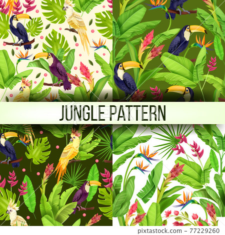 Jungle vector seamless pattern exotic collection, parrot, toucan, banana leaves, monstera flowers 77229260