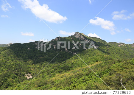 Bukhansan, Bohyeonbong, Hyeongjebong, Pyeongchang-dong Bukhansan, Bohyeonbong, Hyeongjebong, Pyeongchang-dong 77229653