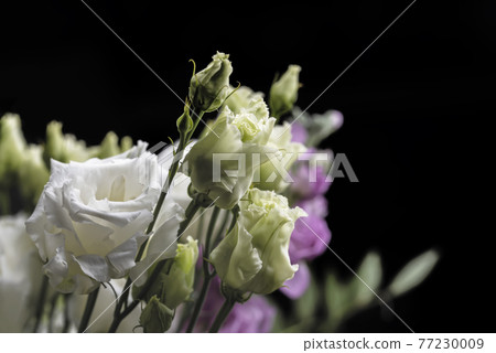 Bouquet of white and green eustomas on a black background, close up 77230009