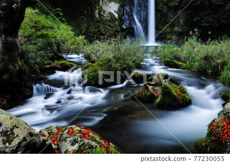 Hakkō Waterfall Hakkō Waterfall 77230055