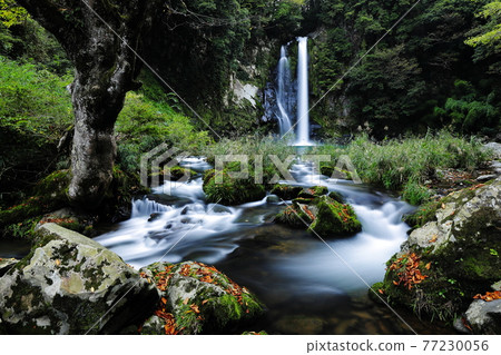 Hakkō瀑布 77230056