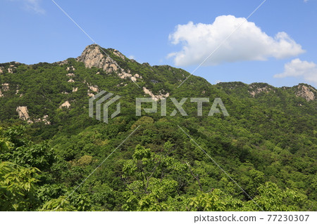 Bukhansan. National Park. Bohyeonbong. Hyeongjebong. Pyeongchang-dong. Jeongneunggol Bukhansan. National Park. Bohyeonbong. Hyeongjebong. Pyeongchang-dong. Jeongneunggol 77230307