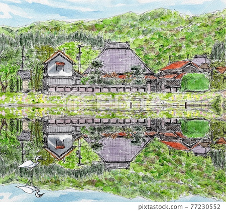 Early summer paddy fields 77230552