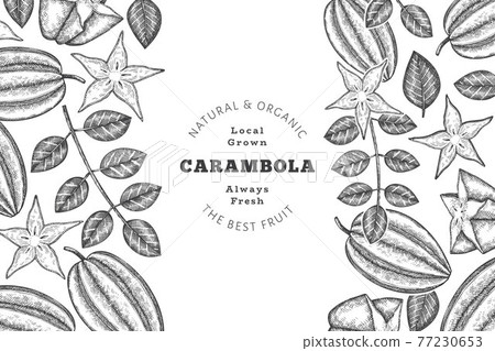 Hand drawn sketch style carambola banner. Organic fresh fruit vector illustration. Retro fruit design template 77230653