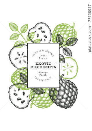 Hand drawn sketch style cherimoya banner. Organic fresh fruit vector illustration. Engraved style botanical design template. 77230937