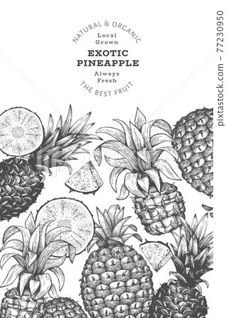 Hand drawn sketch style pineapple banner. Organic fresh fruit vector illustration. Engraved style botanical design template. 77230950