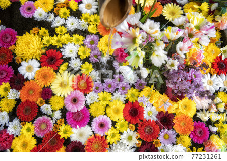 Flower hand water with colorful flowers floating Flower hand water with colorful flowers floating 77231261