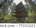 Dewasanzan Shrine's national treasure five-storied pagoda 77231321