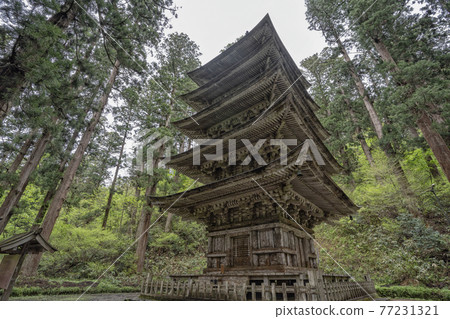 Dewasanzan Shrine's national treasure five-storied pagoda Dewasanzan Shrine's national treasure five-storied pagoda 77231321