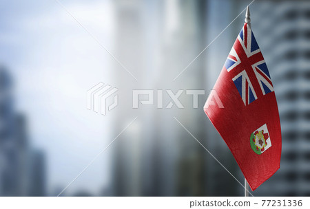 A small flag of Bermuda on the background of a blurred background 77231336