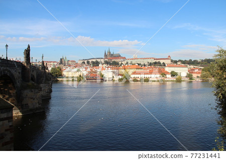 Charles Bridge Charles Bridge 77231441