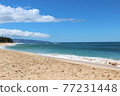 The sea of Hawaii 77231448