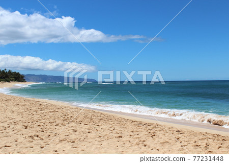 The sea of Hawaii The sea of Hawaii 77231448