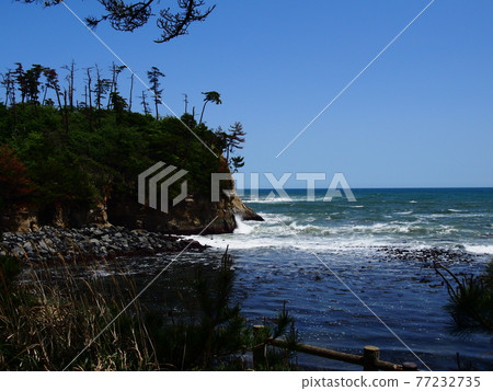 從 Kokaihama 綠地看到的 Kokaihama 海岸 77232735