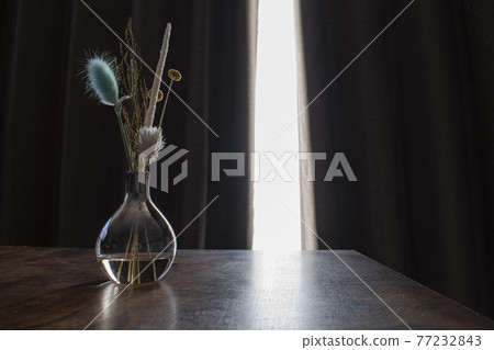 Botanical in the dark Botanical in the dark 77232843