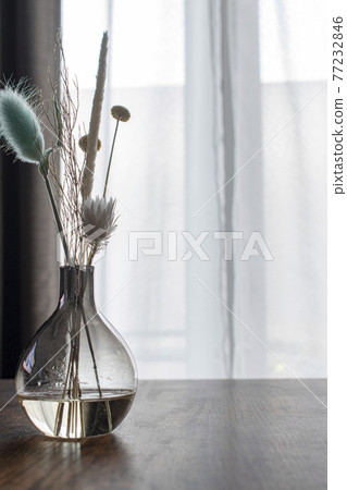 Botanical life to enjoy in the room Botanical life to enjoy in the room 77232846