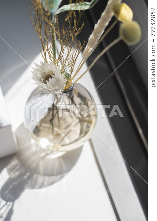Botanical to enjoy in the room Botanical to enjoy in the room 77232852