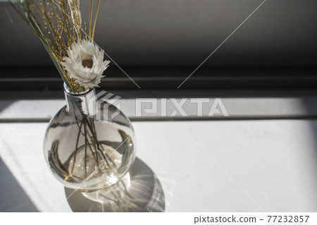 Interior placed by the window 77232857