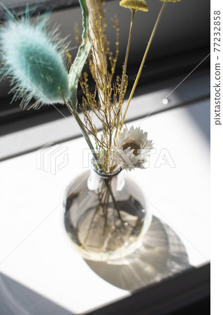 Botanical placed by the window 77232858