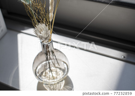 Botanical that colors your life 77232859