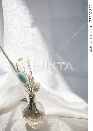 Botanical life to make your room fashionable Botanical life to make your room fashionable 77232896