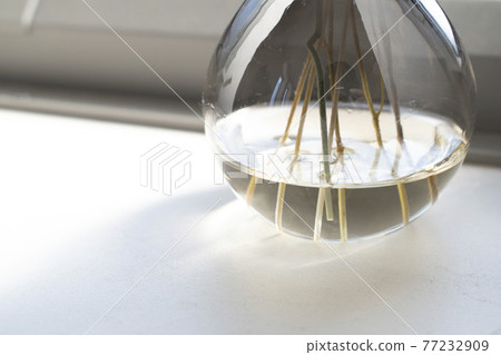 A vase with water placed by the window in the sunlight A vase with water placed by the window in the sunlight 77232909