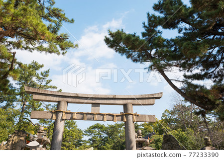 Sumiyoshi Taisha Shrine 77233390