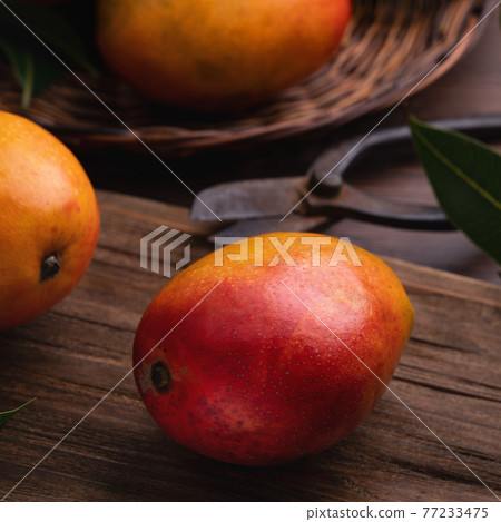 芒果 木頭 木製 新鮮 台灣 水果 Mango fruit Taiwan マンゴー 芒果 木頭 木製 新鮮 台灣 水果 Mango fruit Taiwan マンゴー 77233475
