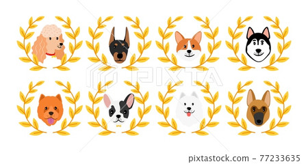 Dogs winner avatars 77233635
