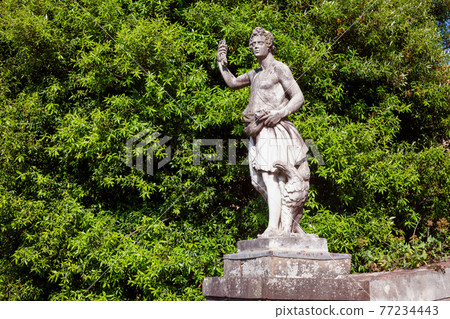 Boboli Gardens park hedge with statue Florence Tuscany Italy Boboli Gardens park hedge with statue Florence Tuscany Italy 77234443