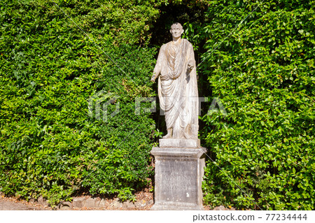 Boboli Gardens park hedge with roman statue Florence Tuscany Italy Boboli Gardens park hedge with roman statue Florence Tuscany Italy 77234444